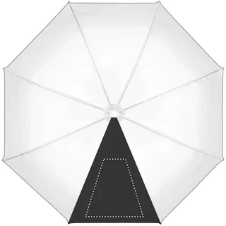 Segment 1