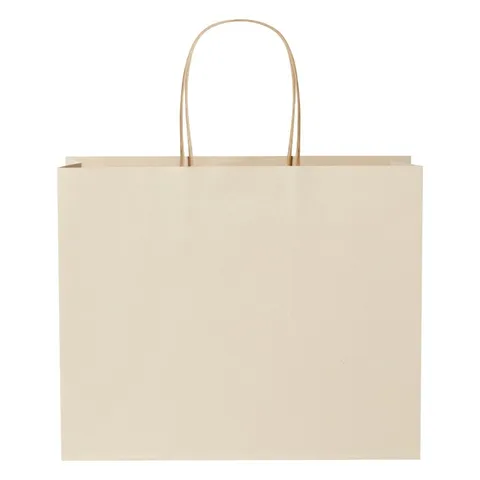 Sac en papier de déchets agricoles à poignées torsadées 31 × 12 × 25 cm