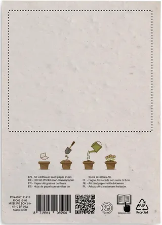 Côté 2