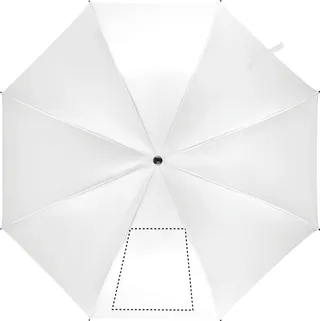 Segment 1