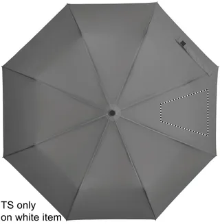 Segment 4