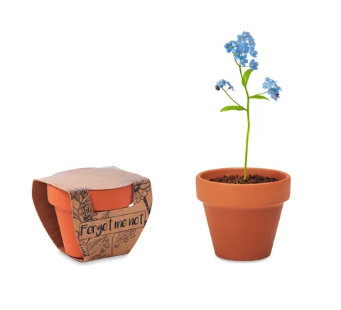 FORGET ME NOT