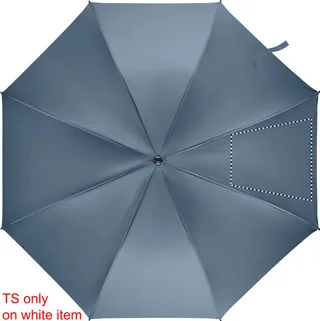 Segment 4