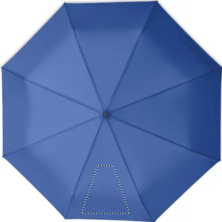 Segment 1