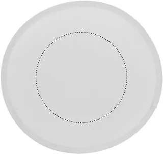 Frisbee