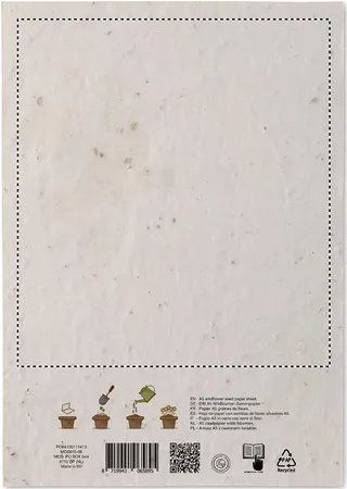 Côté 2