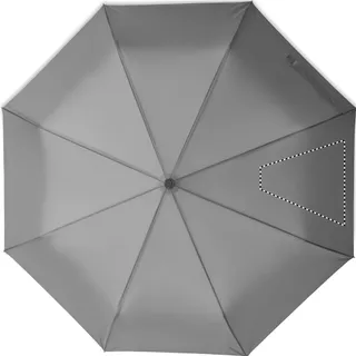 Segment 4