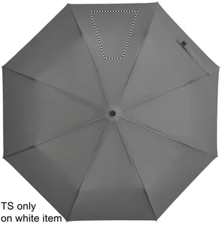 Segment 3