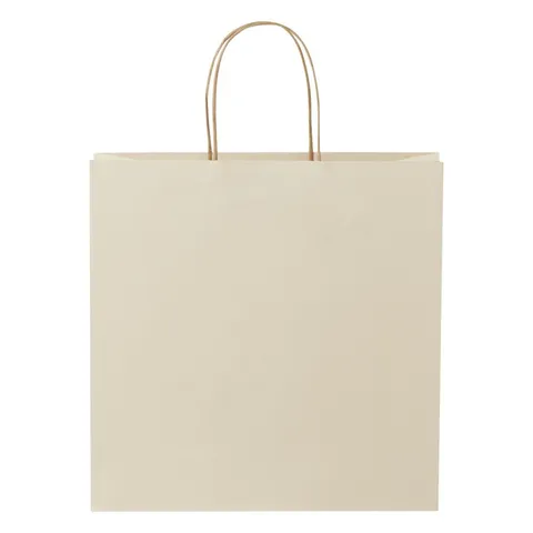 Sac en papier de déchets agricoles à poignées torsadées 31 × 12 × 31 cm