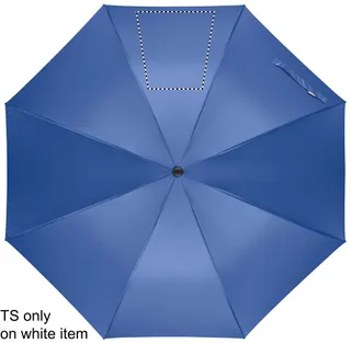 Segment 3