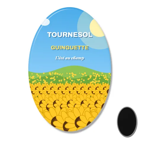 Magnet ovale