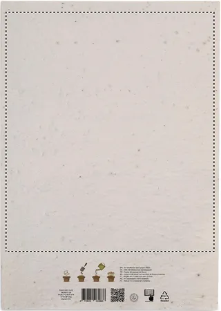 Côté 2