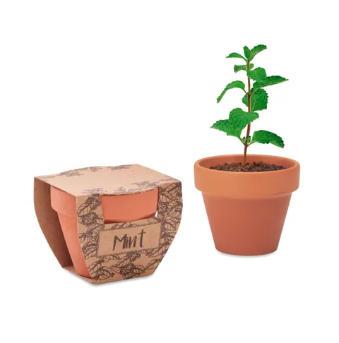 MINT POT