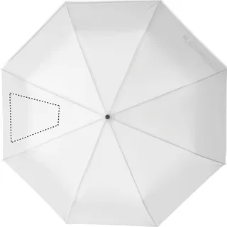 Segment 2