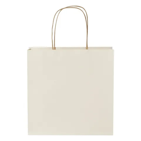 Sac en papier de déchets agricoles à poignées torsadées 24 × 9 × 24 cm