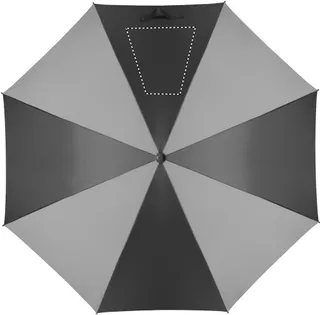 Segment 4