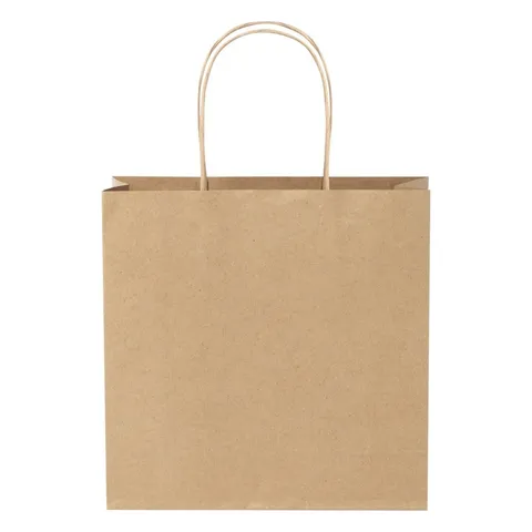 Sac en papier kraft 120 g/m² à poignées torsadées 24 × 9 × 24 cm
